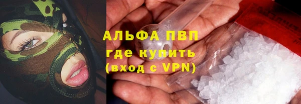 винт Верея
