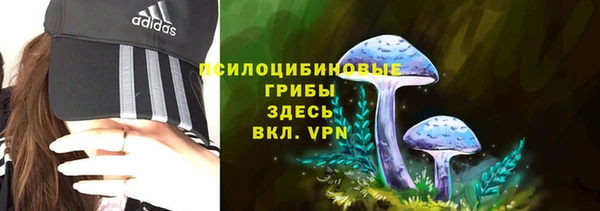 apvp Вязники