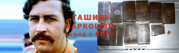 прущие грибы Верхний Тагил