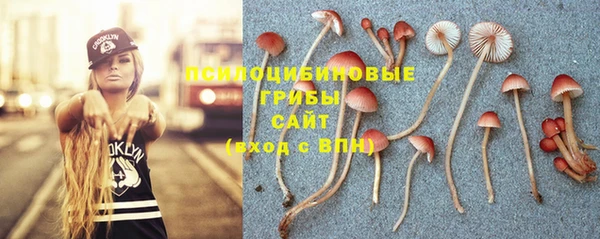прущие грибы Верхний Тагил