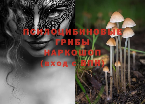 трава Верхнеуральск