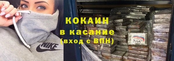 прущие грибы Верхний Тагил