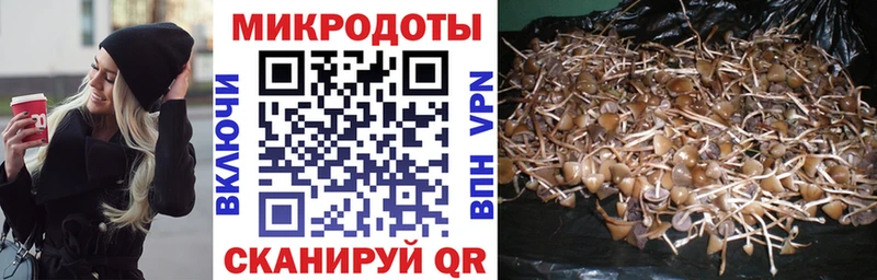 Псилоцибиновые грибы прущие грибы  Купить где  Выкса 